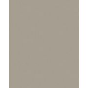 817 CL 0,4*19мм (300 м) Лента без клея титан